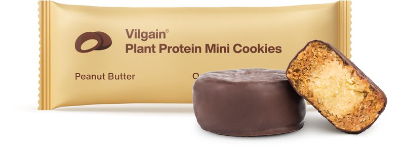 b3445919-12bb-4856-bbd6-3e39f54dbda3 Vilgain Plant Protein Mini Cookies BIO – arašídové máslo 50 g (2 x 25 g)