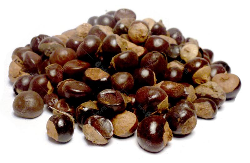 obr-772 Bylík Guarana plod 100g